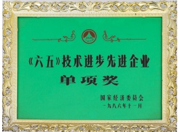 《六五》技術進步先進企業單項獎